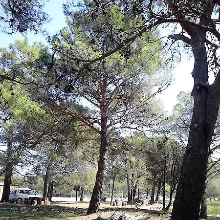 Eco Secluded Apartments Zabodarski Cunski Luaran gambar