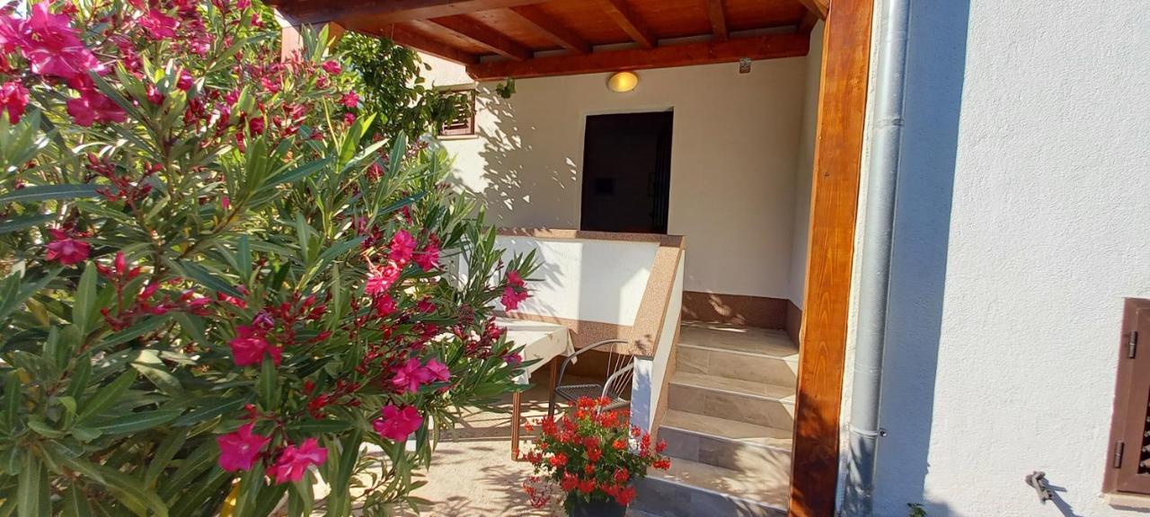 Eco Secluded Apartments Zabodarski Cunski Luaran gambar