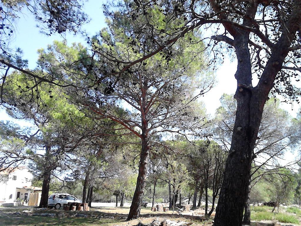 Eco Secluded Apartments Zabodarski Cunski Luaran gambar