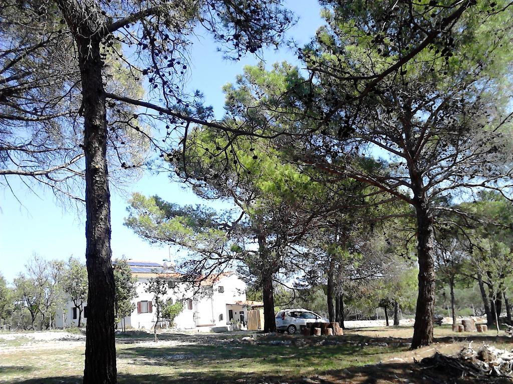 Eco Secluded Apartments Zabodarski Cunski Luaran gambar
