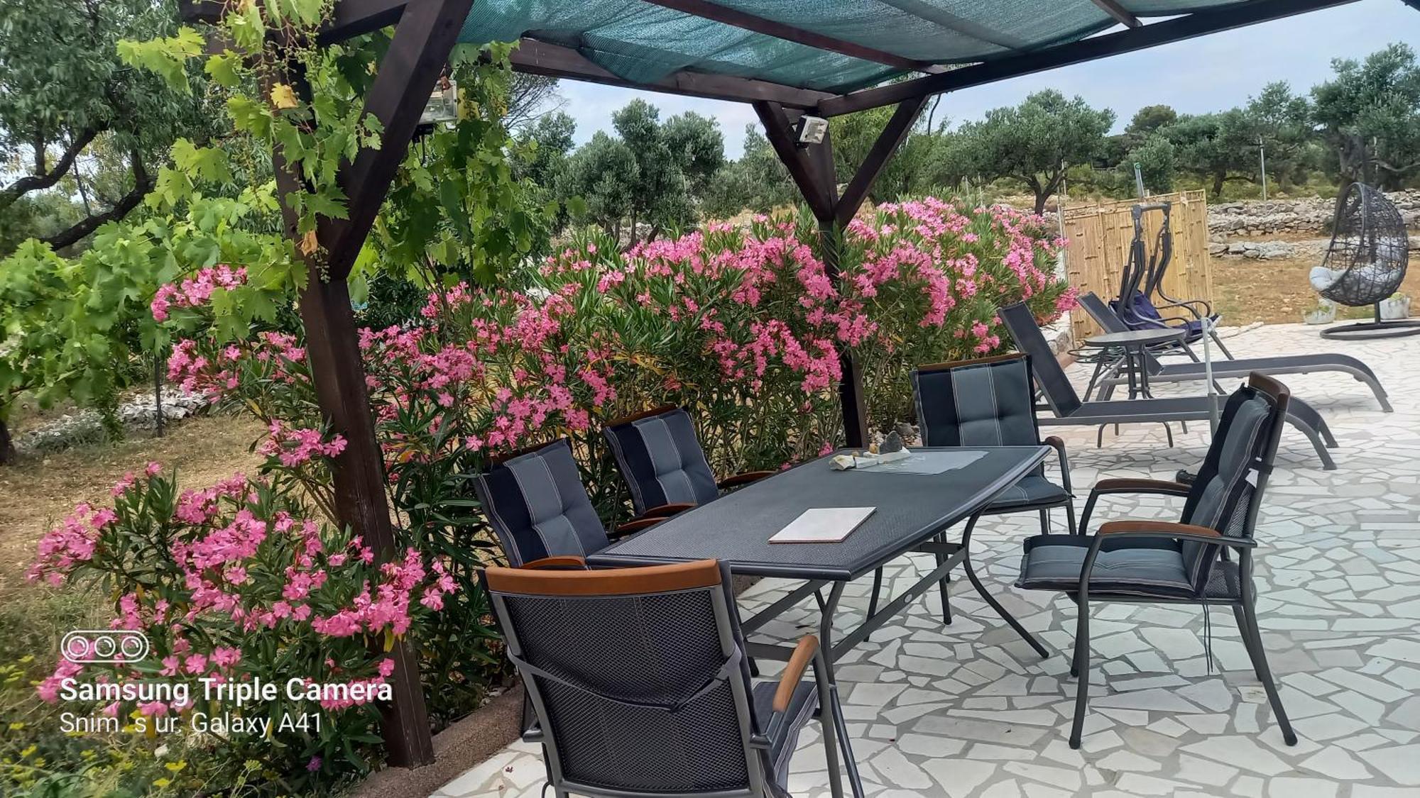 Eco Secluded Apartments Zabodarski Cunski Luaran gambar