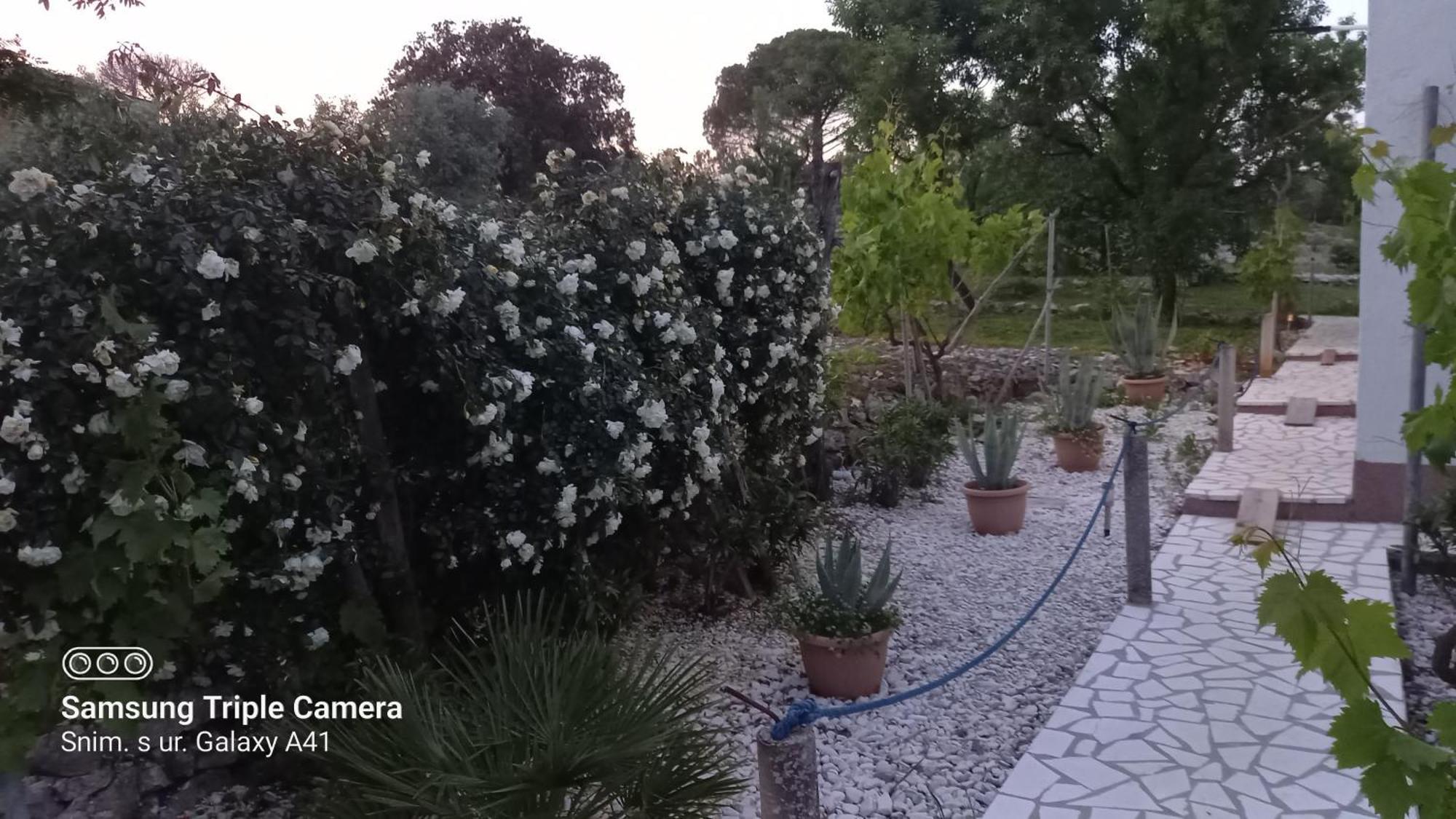 Eco Secluded Apartments Zabodarski Cunski Luaran gambar