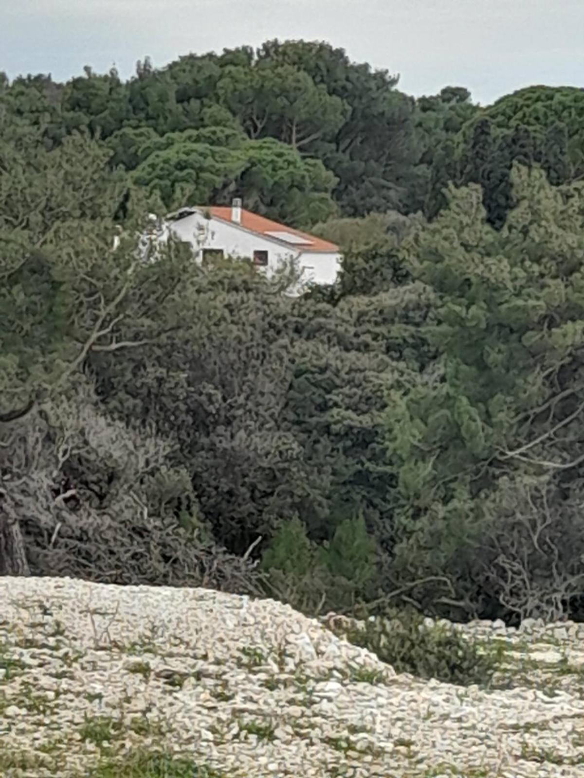 Eco Secluded Apartments Zabodarski Cunski Luaran gambar