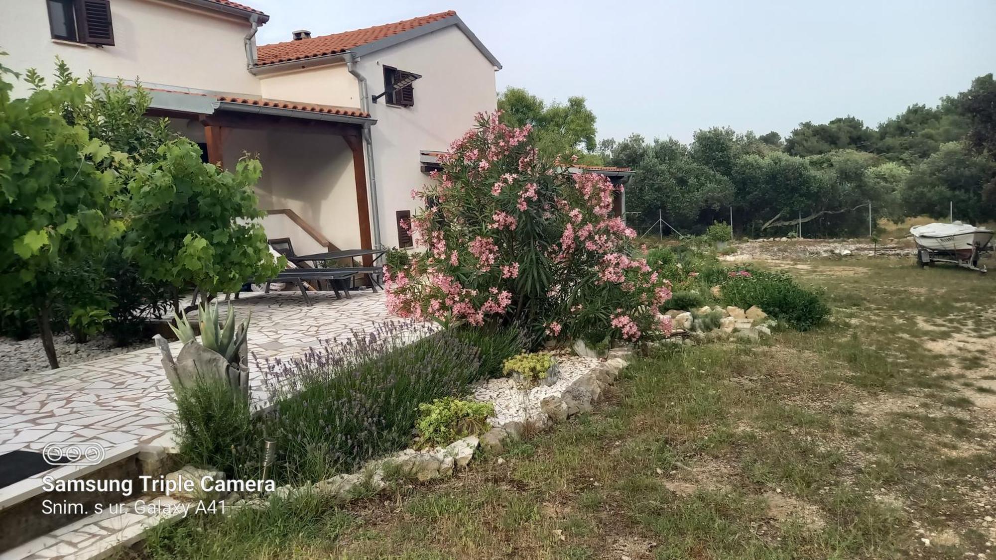 Eco Secluded Apartments Zabodarski Cunski Luaran gambar