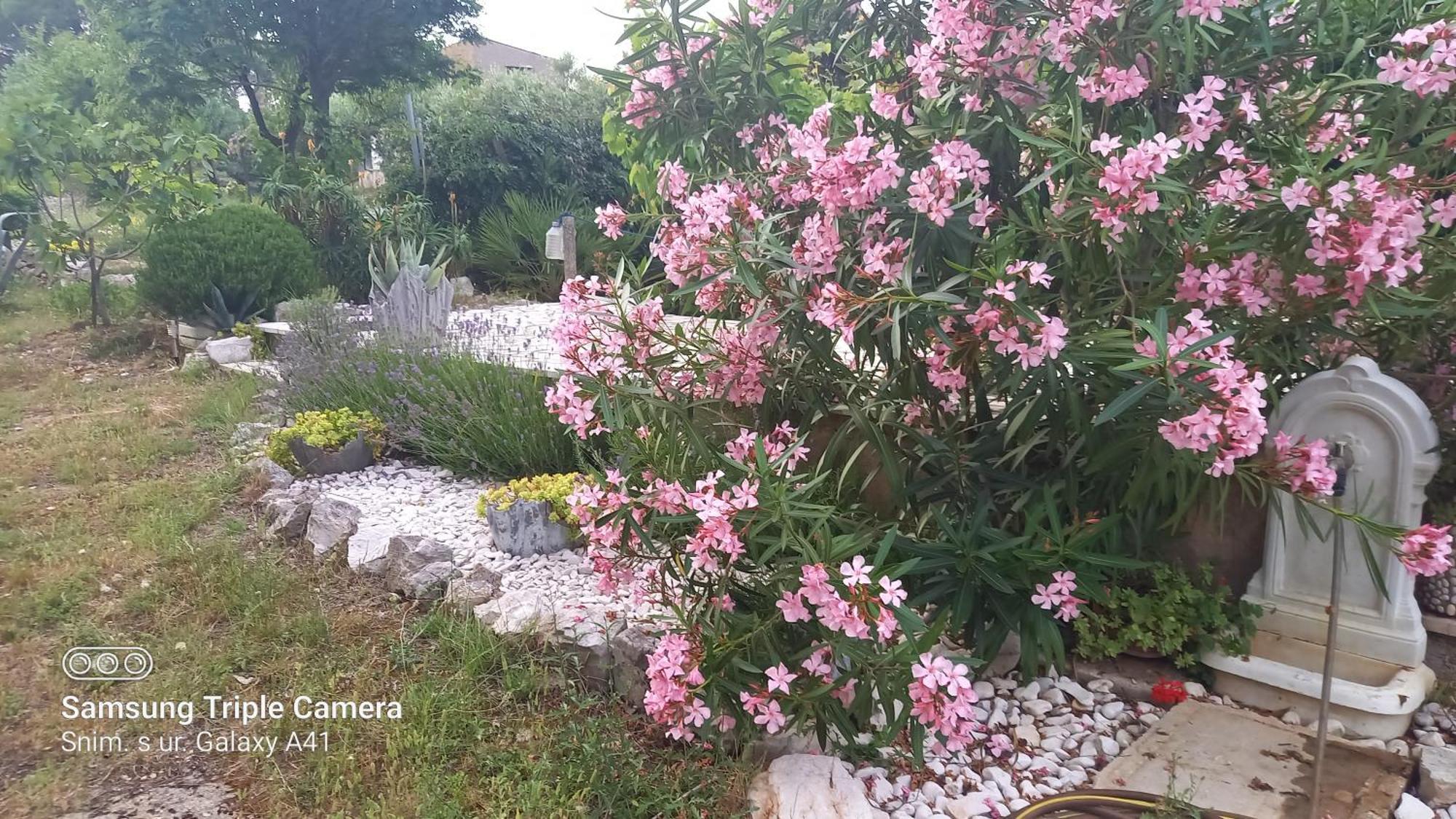 Eco Secluded Apartments Zabodarski Cunski Luaran gambar