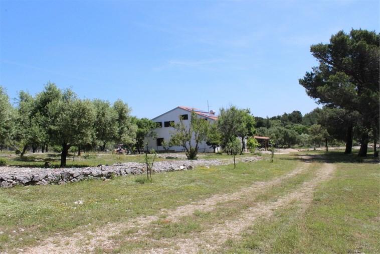Eco Secluded Apartments Zabodarski Cunski Luaran gambar