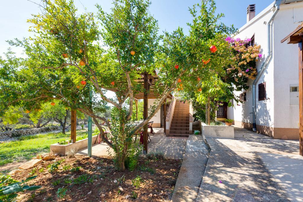 Eco Secluded Apartments Zabodarski Cunski Luaran gambar
