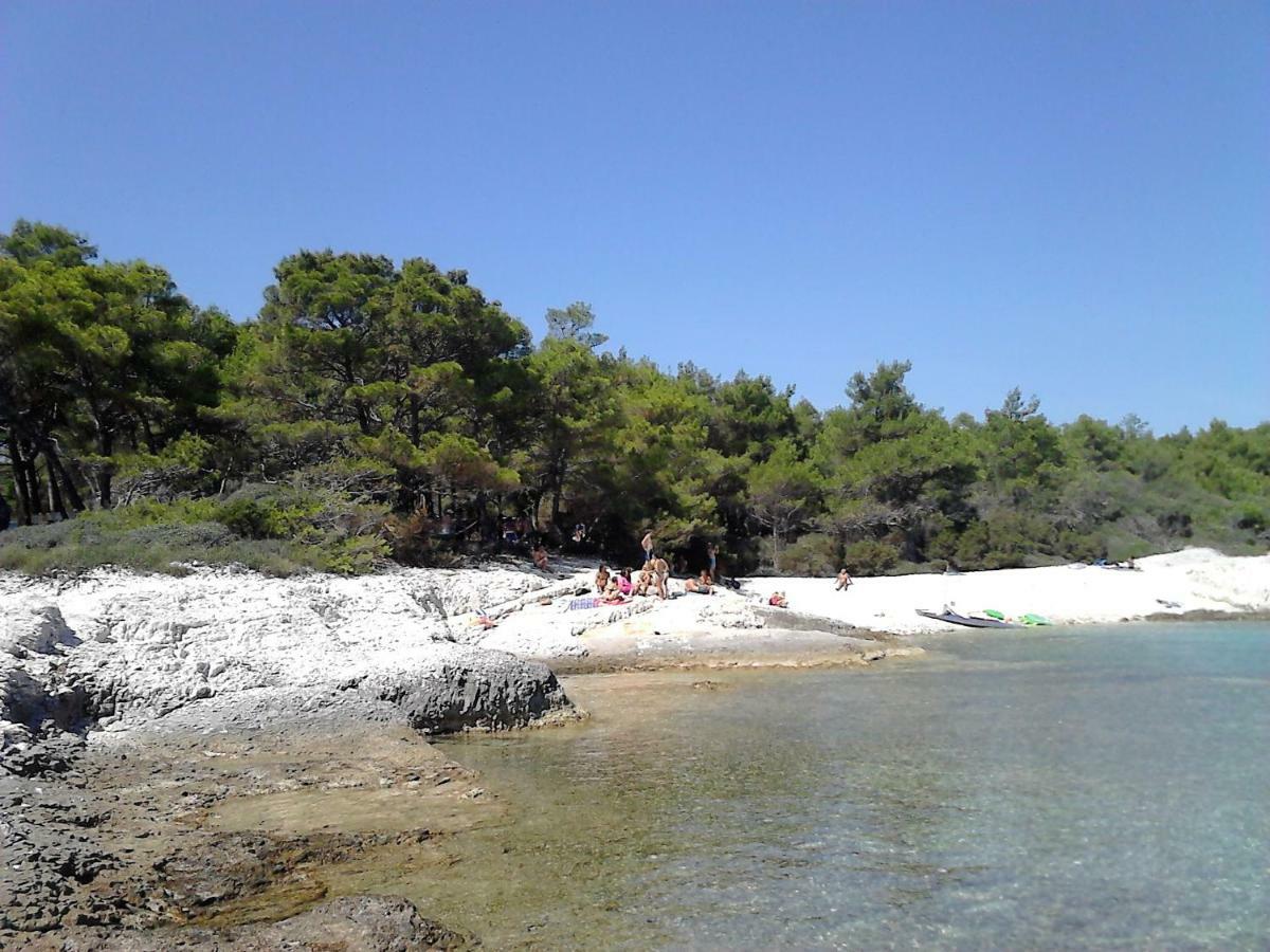 Eco Secluded Apartments Zabodarski Cunski Bilik gambar