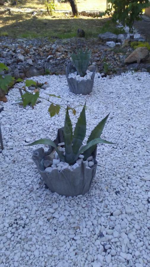 Eco Secluded Apartments Zabodarski Cunski Luaran gambar