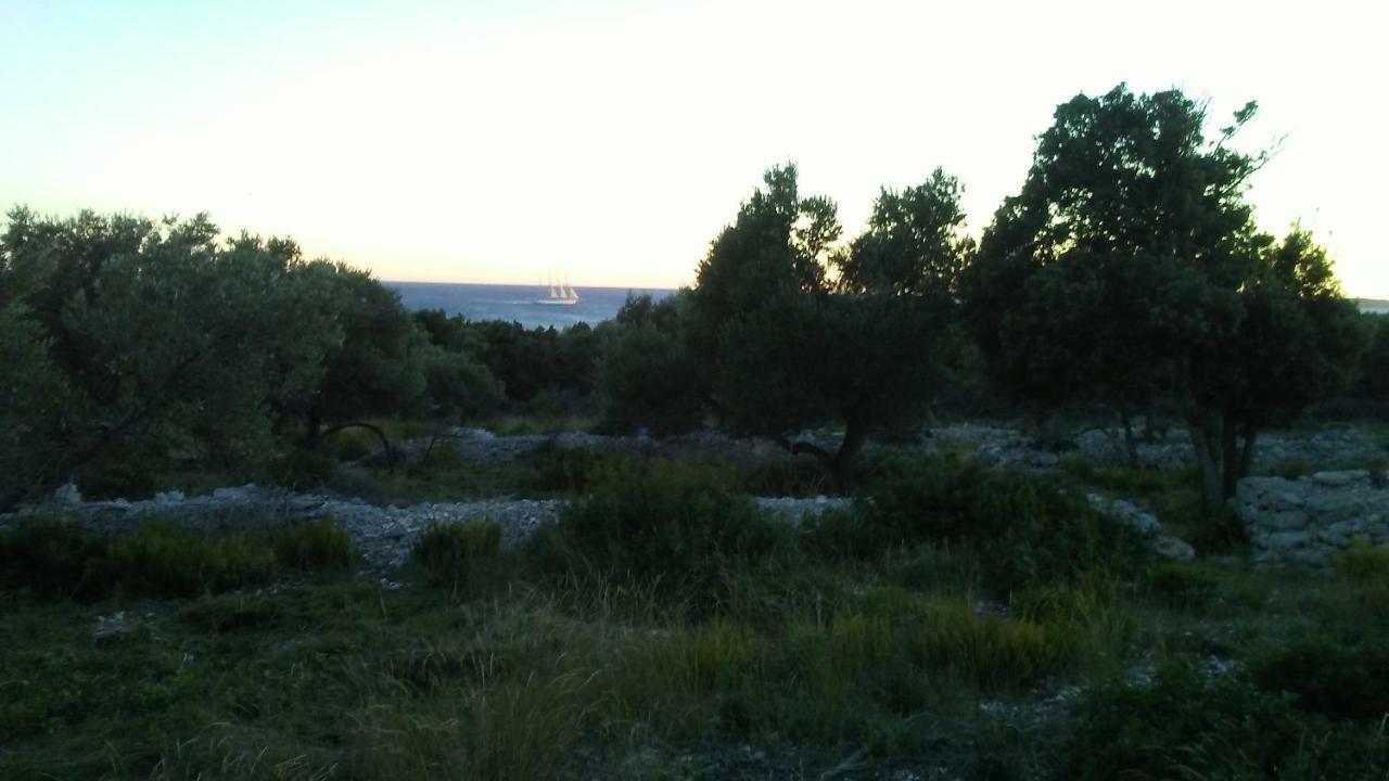 Eco Secluded Apartments Zabodarski Cunski Luaran gambar